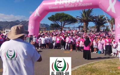 Standing in solidarity: The Pink Walk